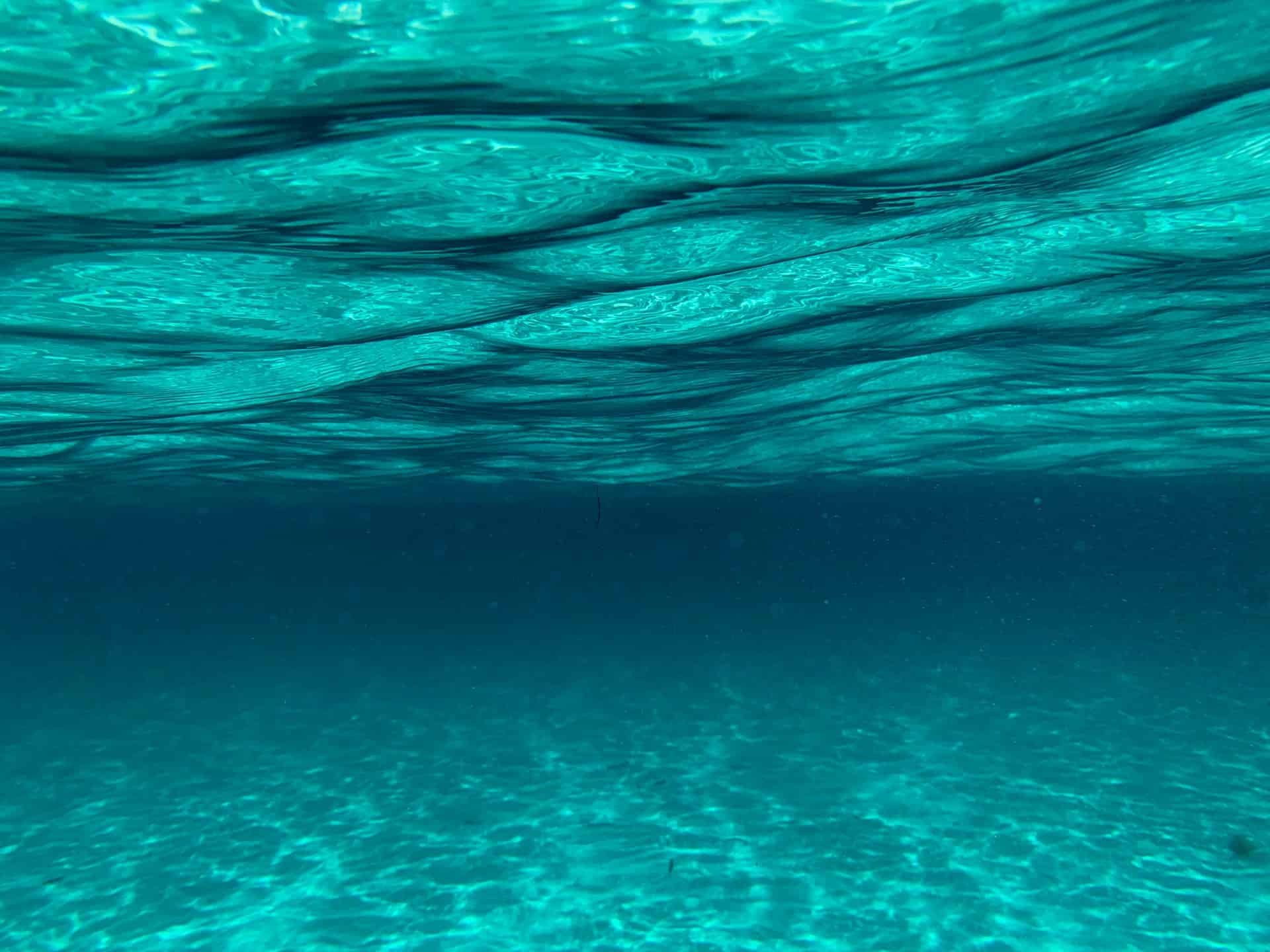 10 little-known interesting facts about swimming